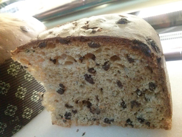 Panettone integrale con gocce di cioccolato cioccolato